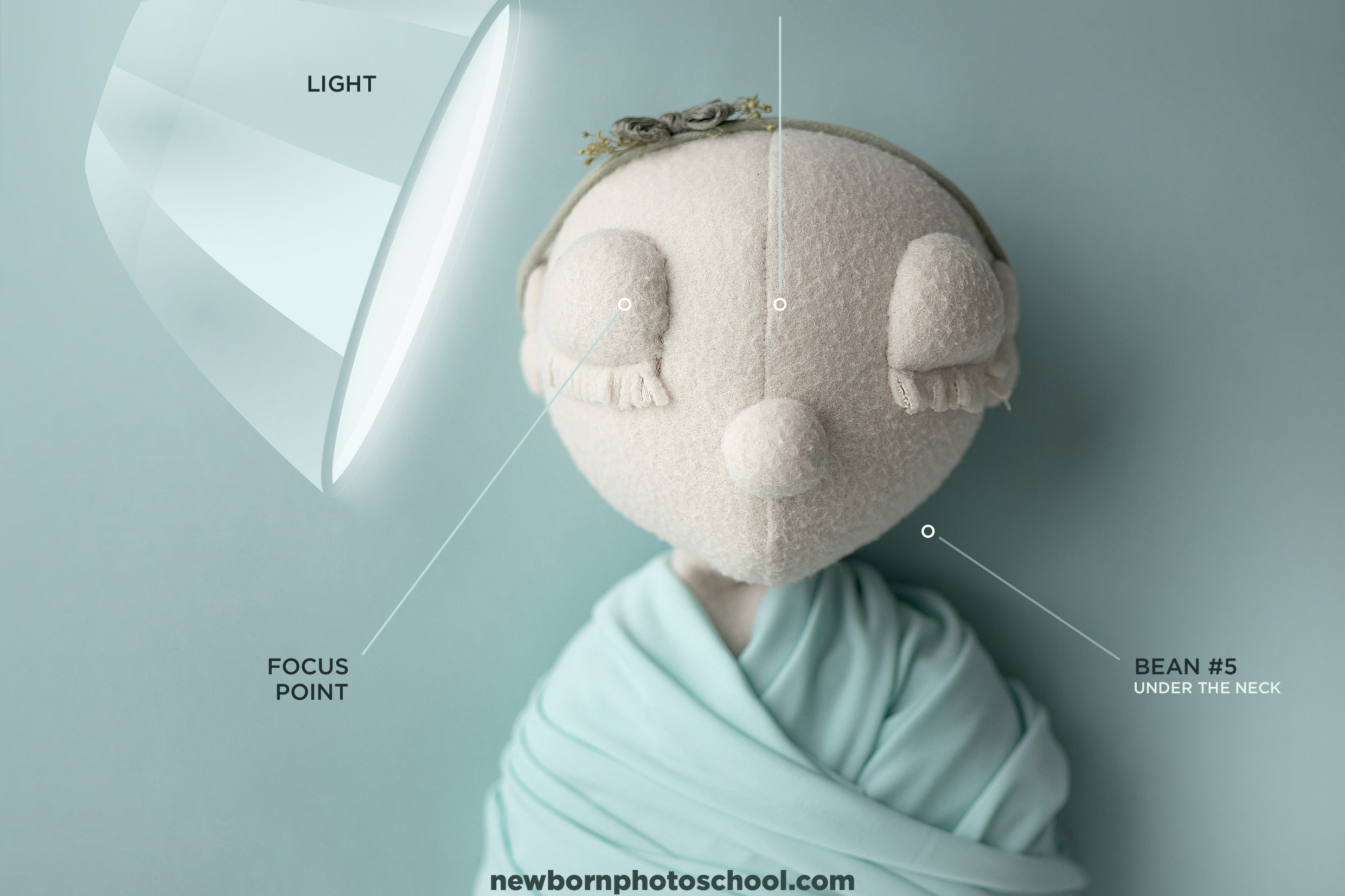 Online Course in Newborn Photography: Master Skills, Earn More! *self-paced 3 Online Course in Newborn Photography lighting diagram with posing doll showing light direction, focus point, and support placement for safe newborn posing